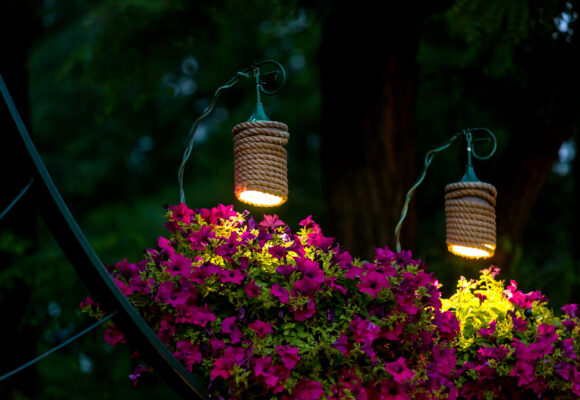 Iluminando tu jardín