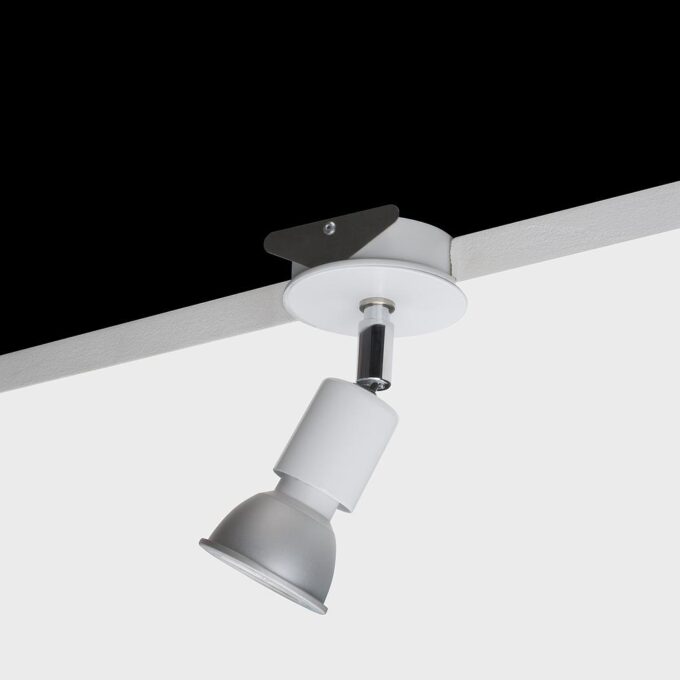 GU10 IP65 Directional Fire Rated Minimal Trim