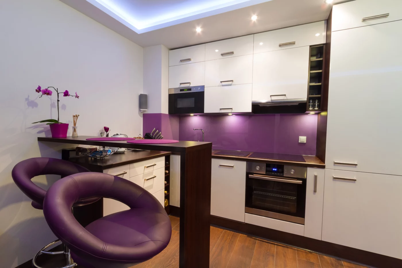 Sleek modern purple kitchen