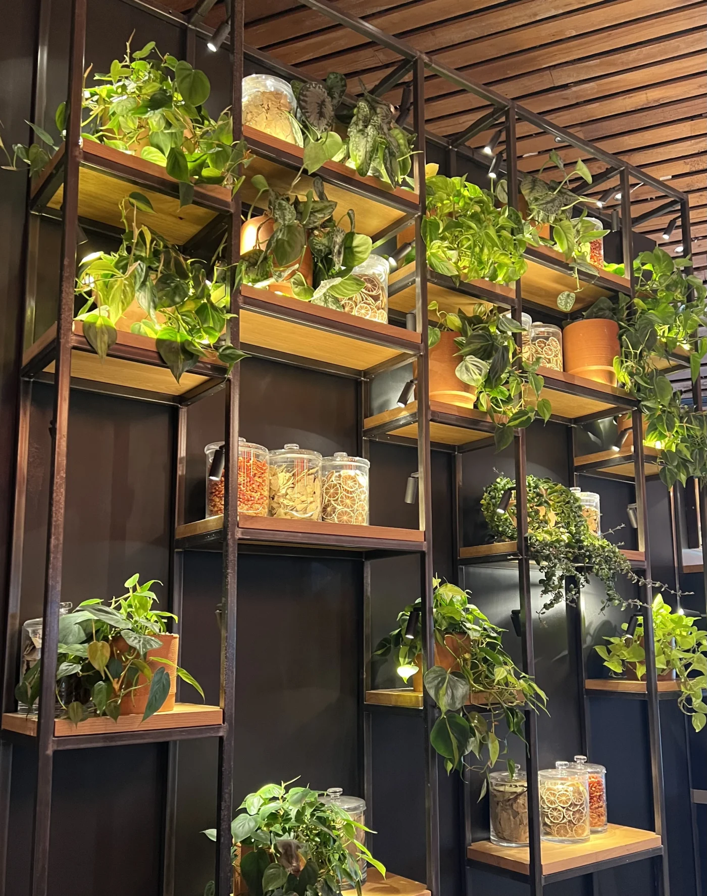 Biophilic Lighting at Nandos Liverpool ONE